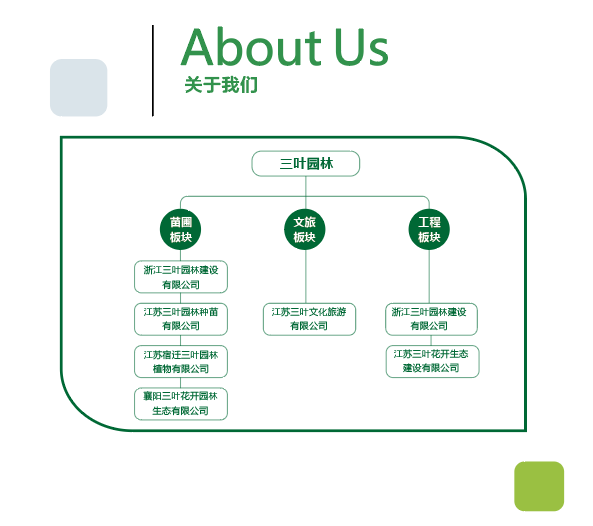這是描述信息