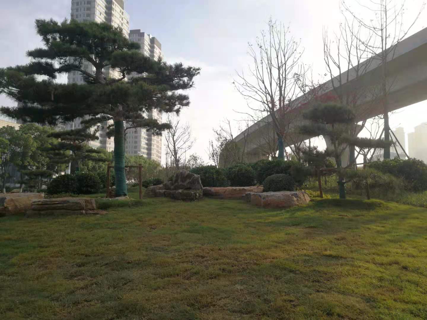 江蘇三葉園林股份有限公司